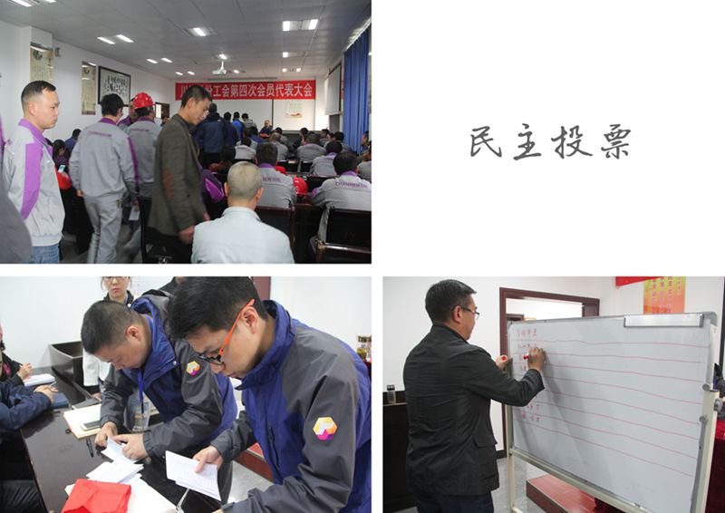 ����ͶƱ_����_����_����